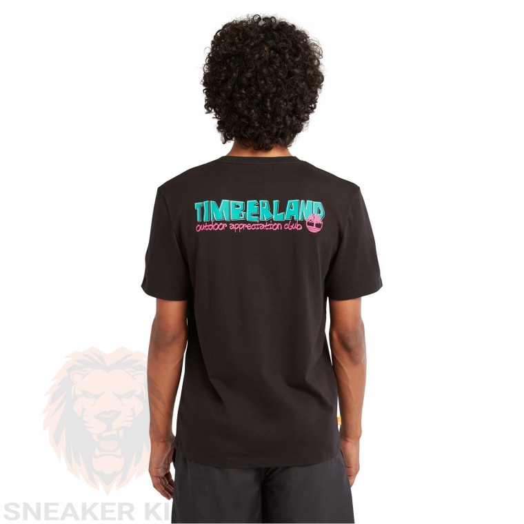 Футболка Timberland graphic logo tee  TB0A68T1 001